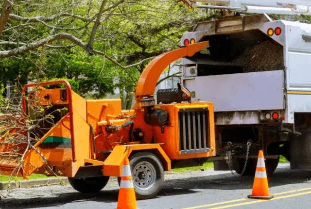 tree removal Dollars Corner wa