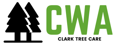 CWA Tree Care