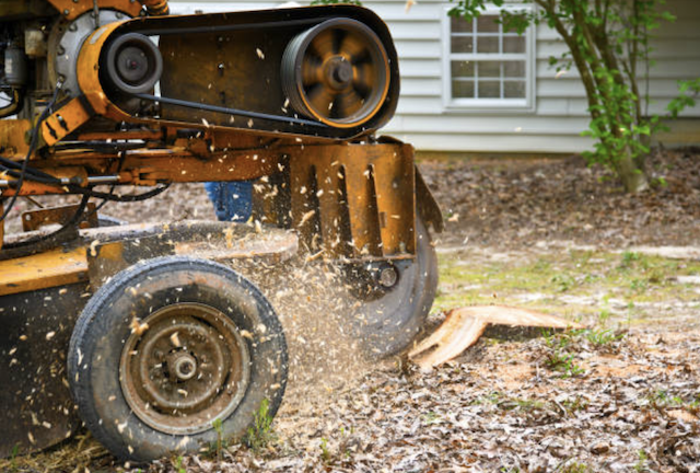 stump grinding clark wa